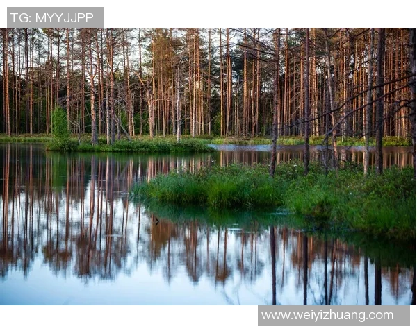 盐城湖与科罗拉多的壮丽风光与自然生态的深度对比分析