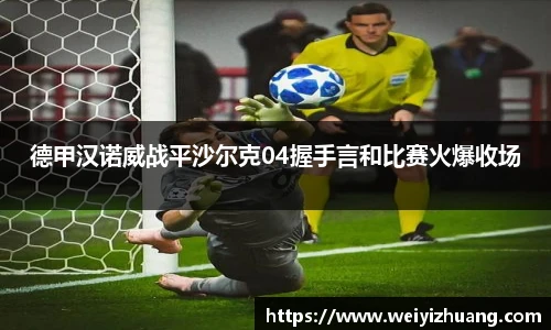 德甲汉诺威战平沙尔克04握手言和比赛火爆收场