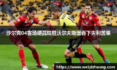 沙尔克04客场硬战险胜沃尔夫斯堡吞下失利苦果